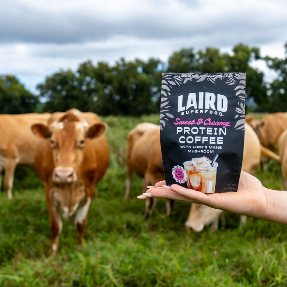 Laird Sweet & Creamy Protein Coffee with Lion's Mane by Organax Ltd in 150g package, showing the coffee and lion's mane mushroom.