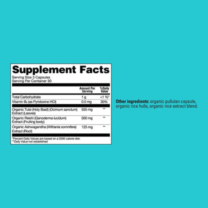Organic mushroom supplement by Organax Ltd with Reishi, B6, and Ashwagandha capsules for wellness and relaxation.