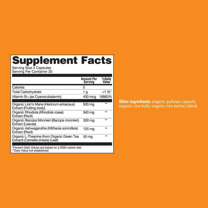 Organic mushroom supplement capsules with Lion's Mane, B12, and L-Theanine in a bottle, by Organax Ltd.