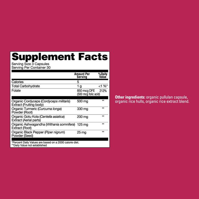 Organic Mushroom Capsules | Brain Health Supplement | Organax Ltd