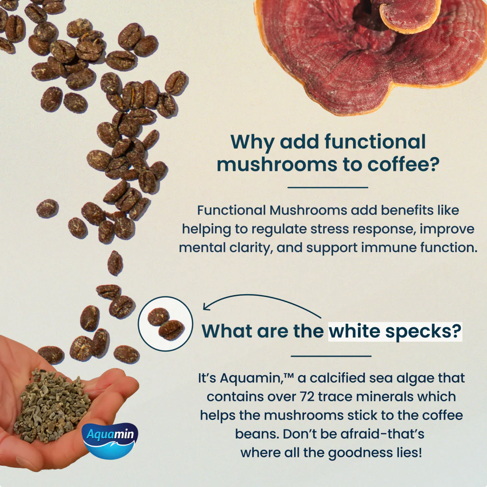 Laird Organic PERFORM Functional Mushroom Coffee - Dark Roast Ground 340g