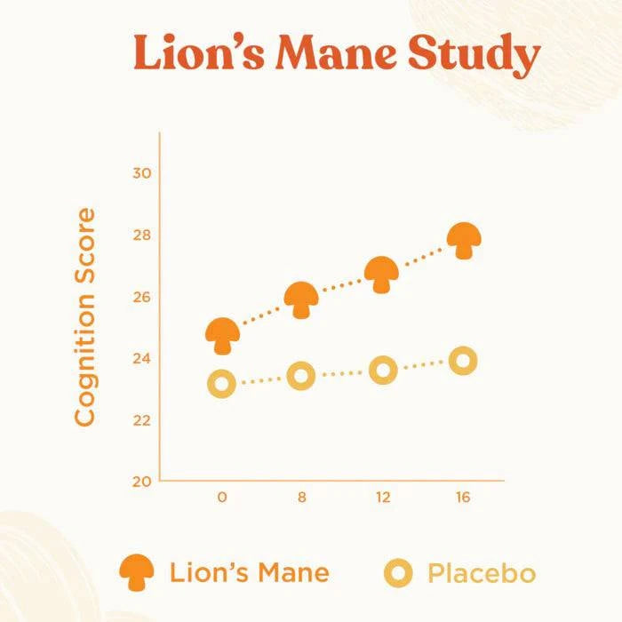 Four Sigmatic Organic Focus Ground Bean Coffee With Lion's Mane Bag 13 Servings 283g - Organax Ltd