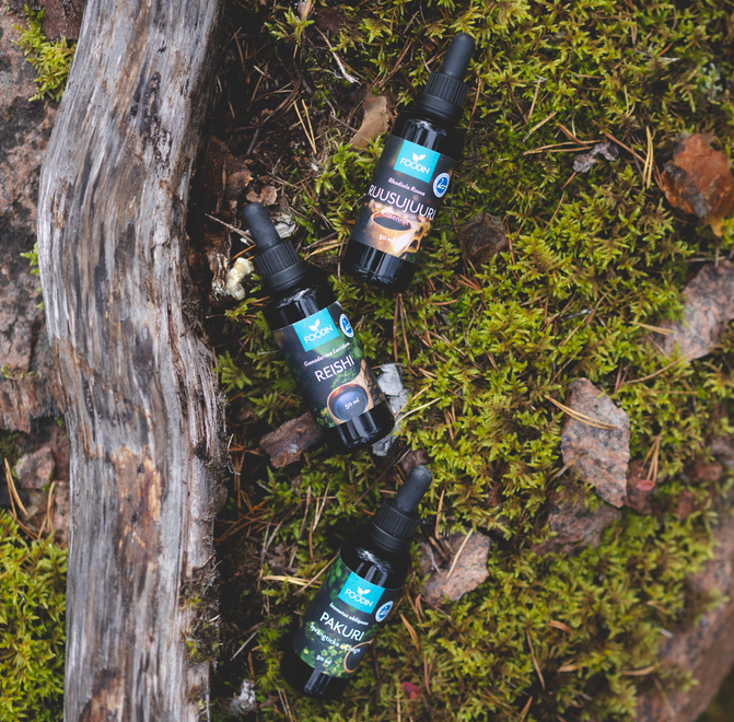 Finnish Chaga Tincture, 50ml - Organax Ltd