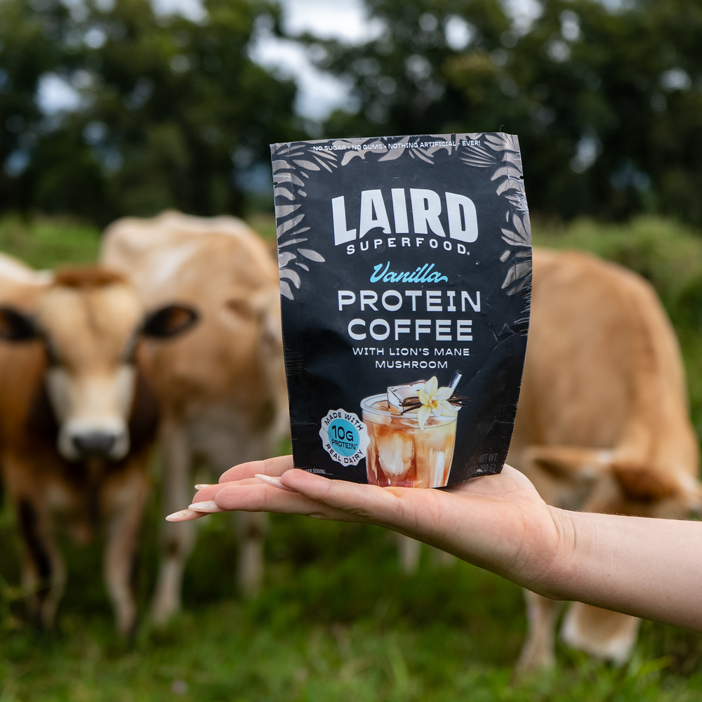 Laird Vanilla Protein Coffee with Lion's Mane by Organax Ltd, 150g jar showing coffee and vanilla flavor label.