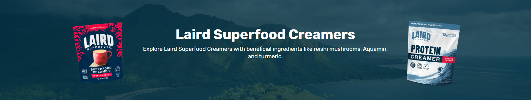 SUPERFOOD CREAMER