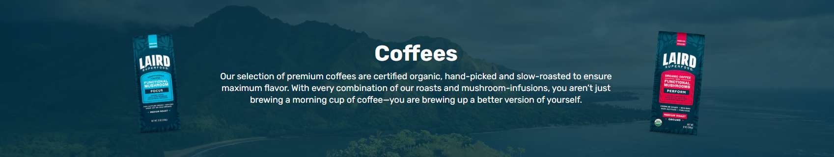 LAIRD MUSHROOM COFFEE